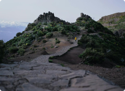 Rapid MVP Launch: Validate Product Ideas Fast